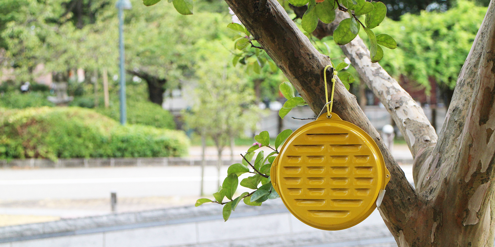 菊花せんこう・ホルダー | D&DEPARTMENT