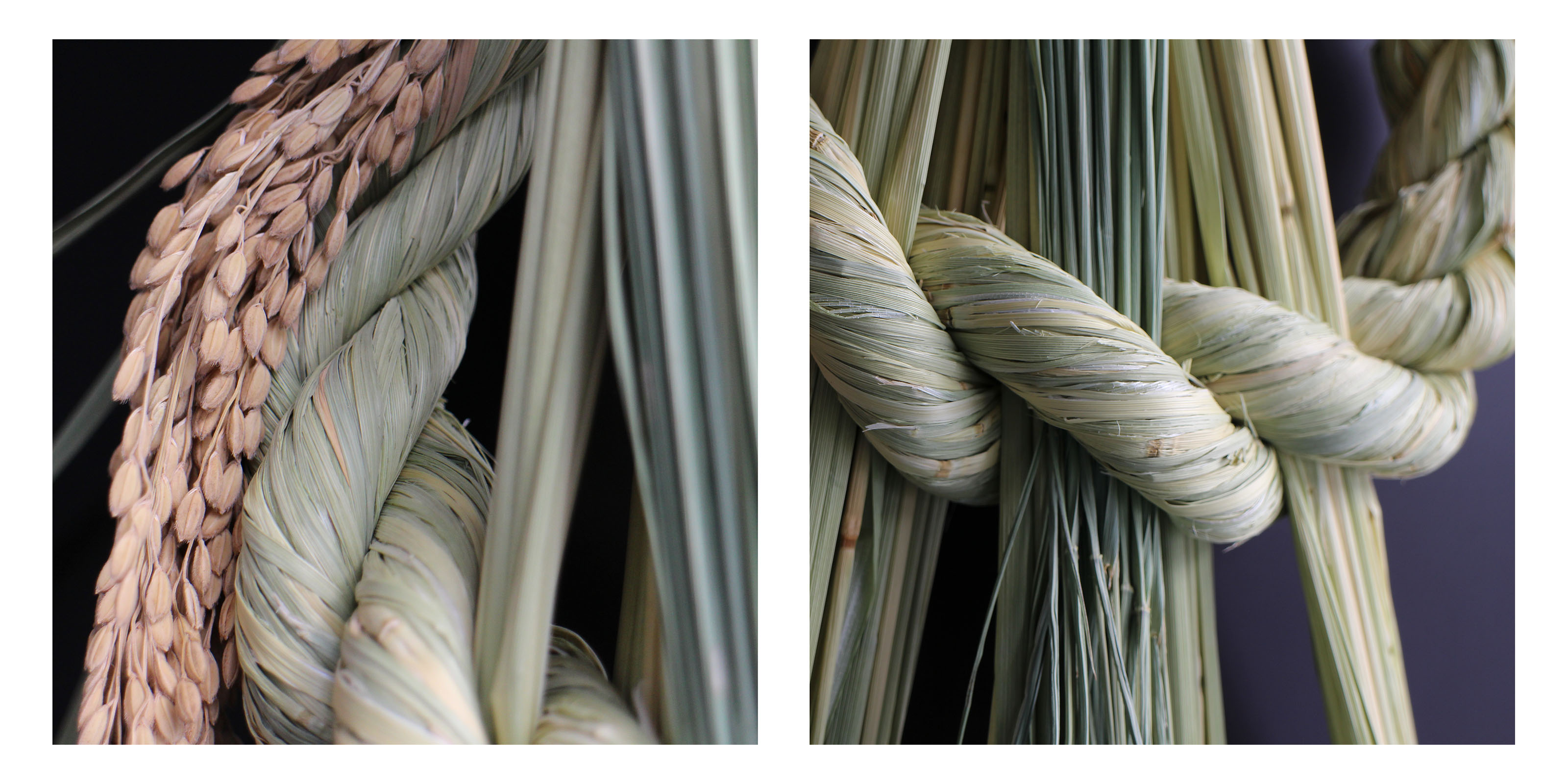 sold out】農家さんがつくるしめ飾り みどりもち | D&DEPARTMENT