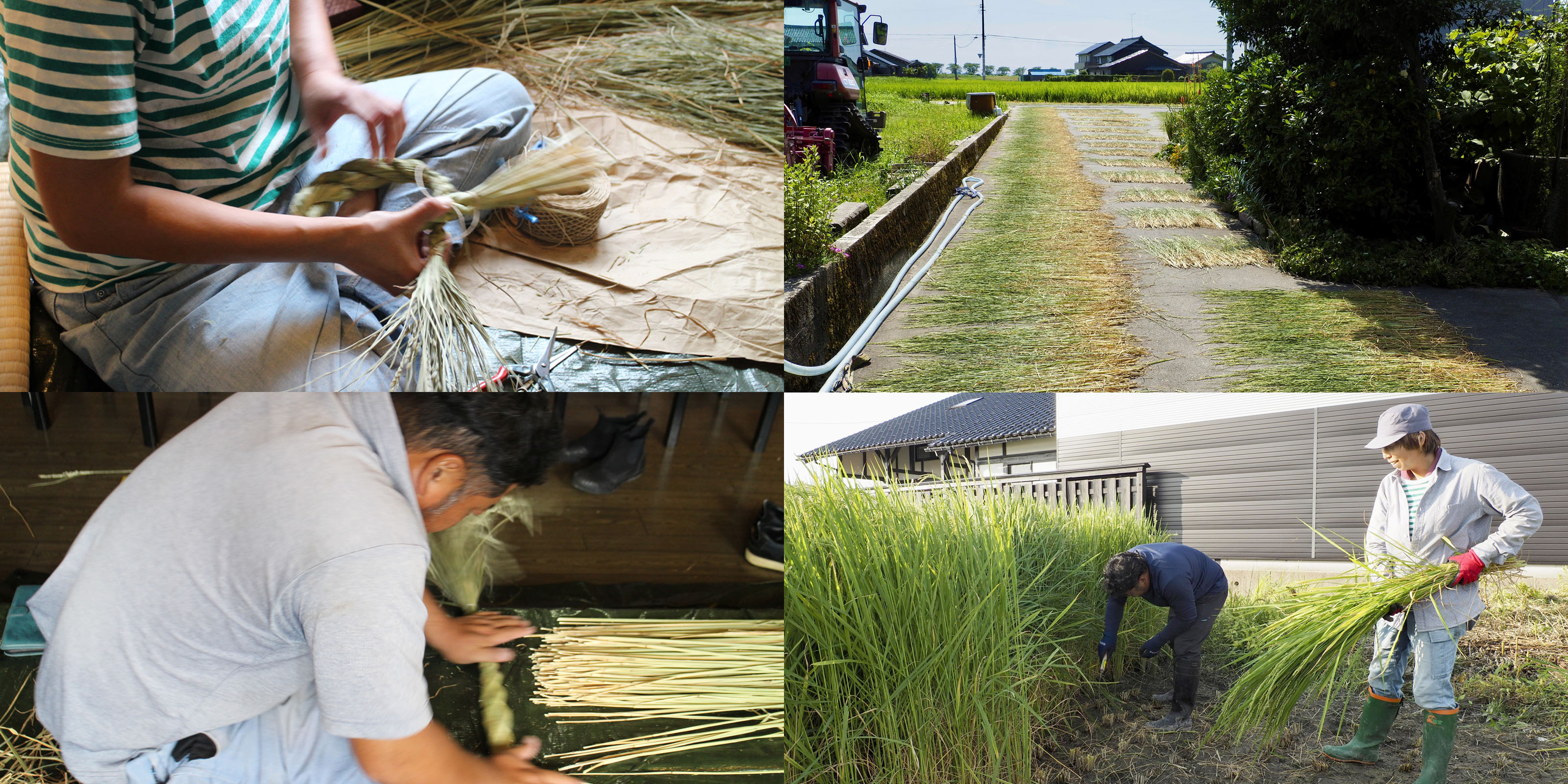 sold out】農家さんがつくるしめ飾り みどりもち | D&DEPARTMENT