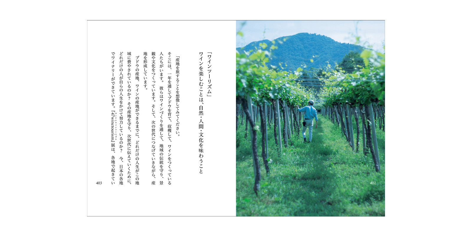 つづくをたべる食堂（別冊レシピブック付き） | D&DEPARTMENT