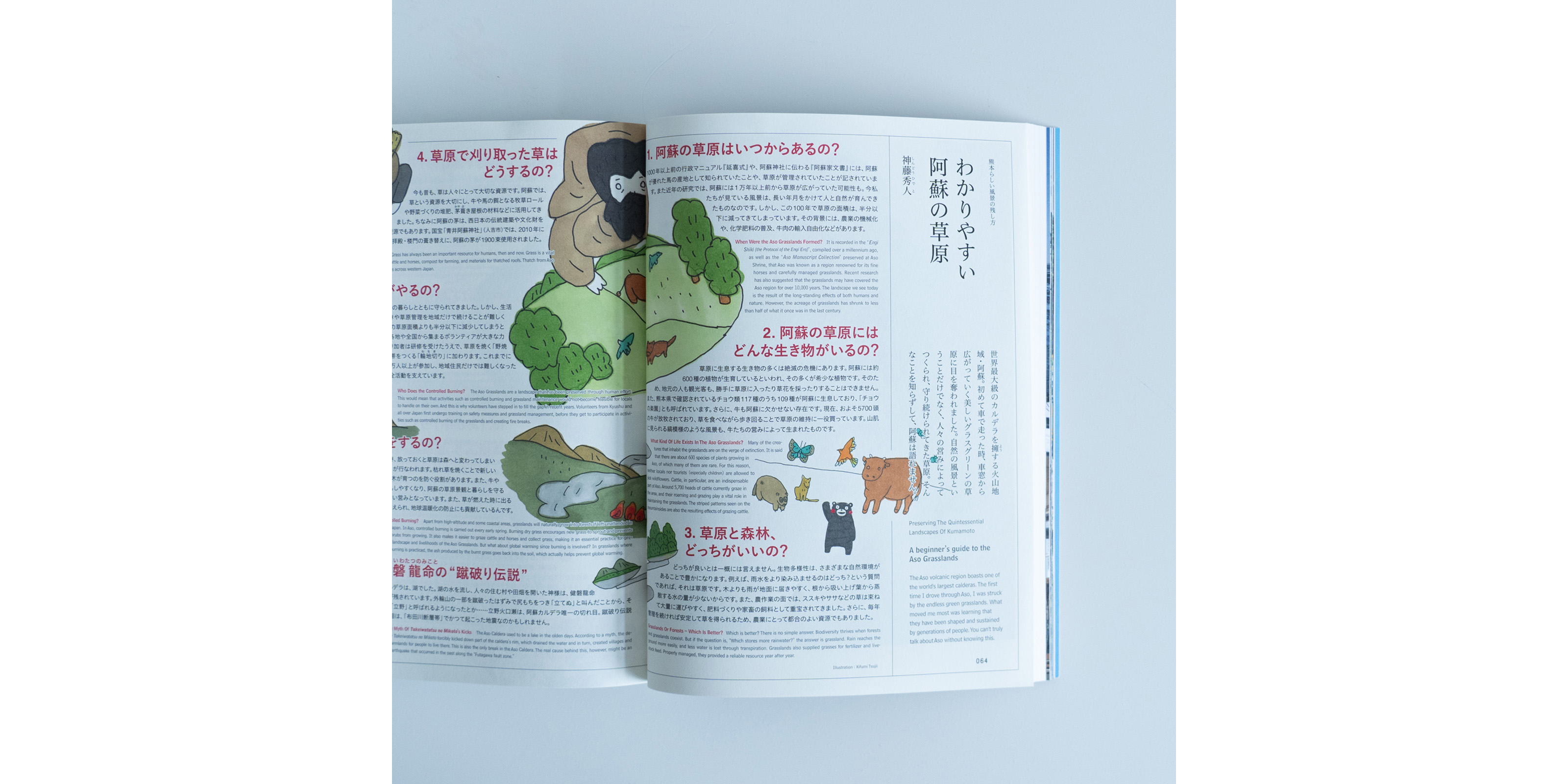 d design travel 熊本号 | D&DEPARTMENT