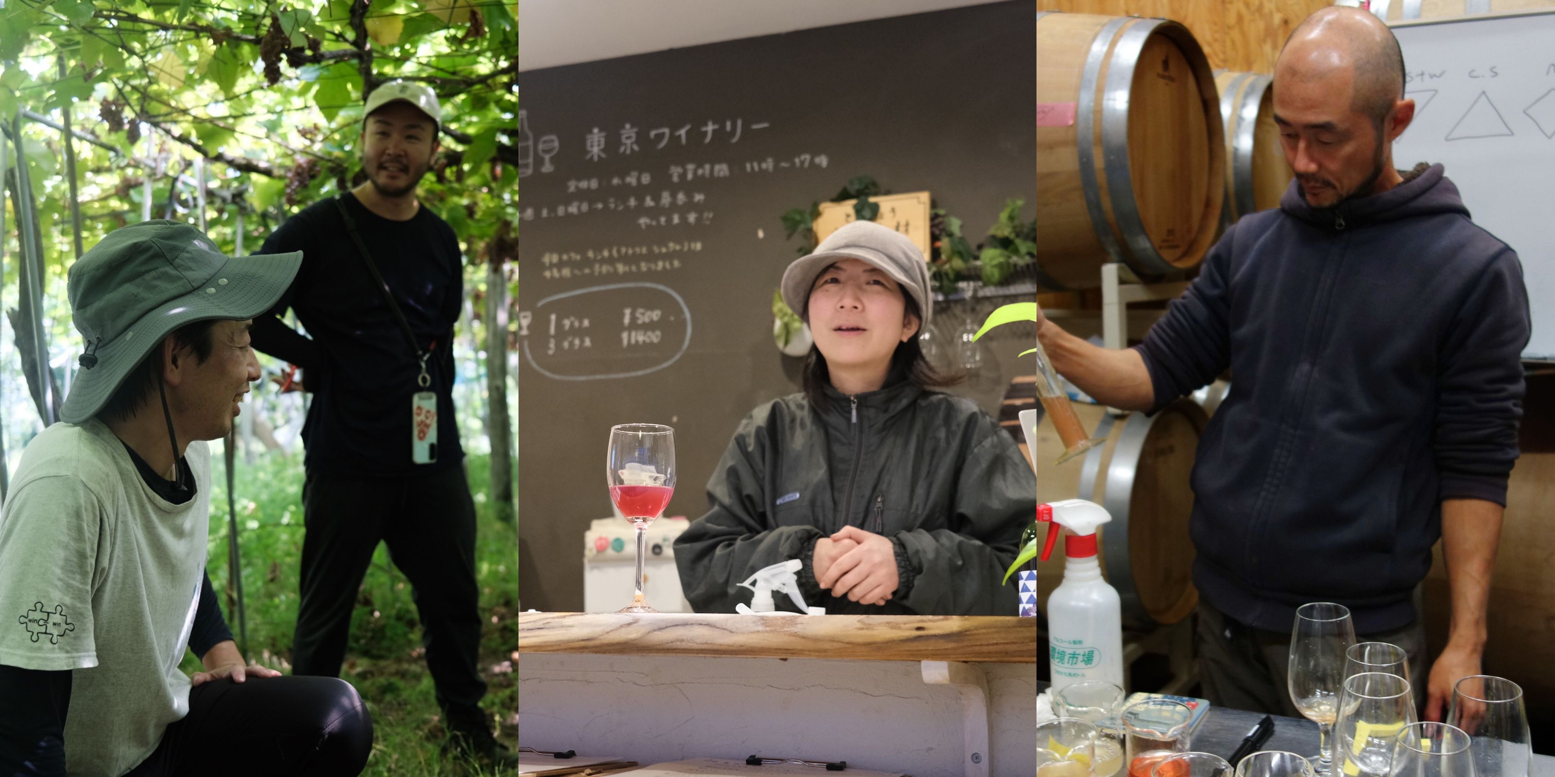 オリジナルワイン 2024年仕込み 飲み比べセット | D&DEPARTMENT