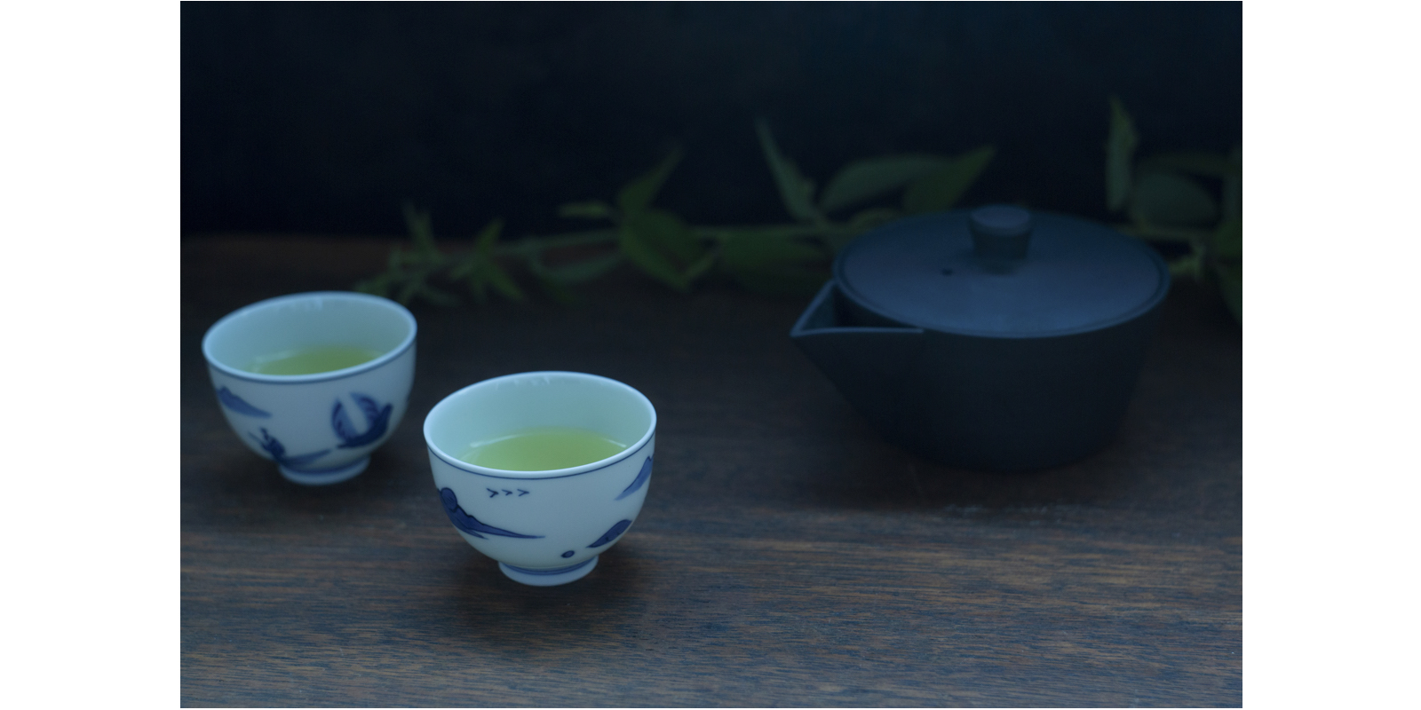 堀井七茗園 dオリジナル宇治玉露 | D&DEPARTMENT